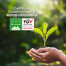 My Grey Compostabile 100 capsule